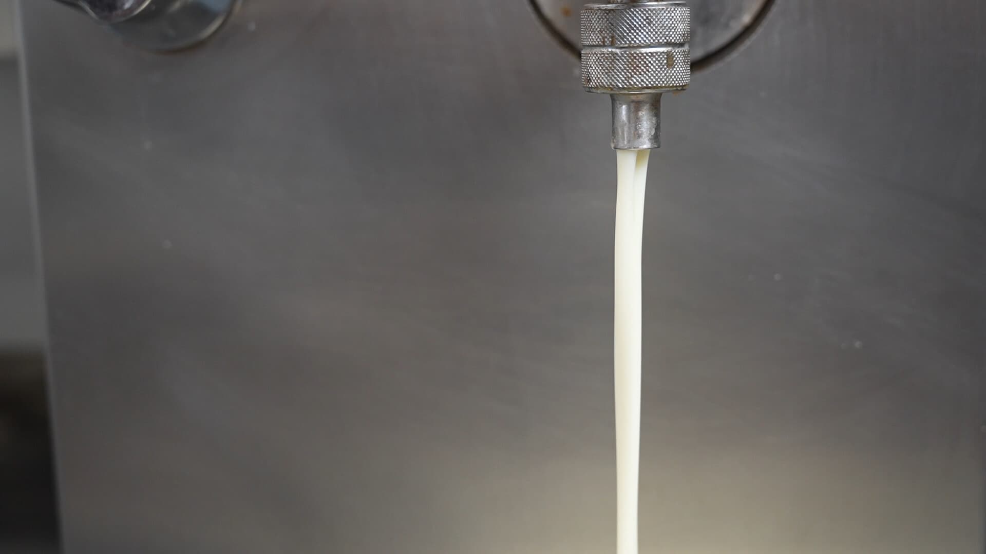 Latte fresco che scende da un rubinetto in acciaio